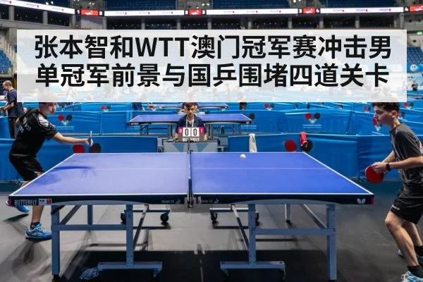 张本智和WTT澳门冠军赛冲击男单冠军前景与国乒围堵四道关卡（hth）