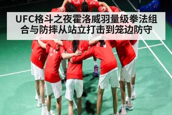 UFC格斗之夜霍洛威羽量级拳法组合与防摔从站立打击到笼边防守（hth）